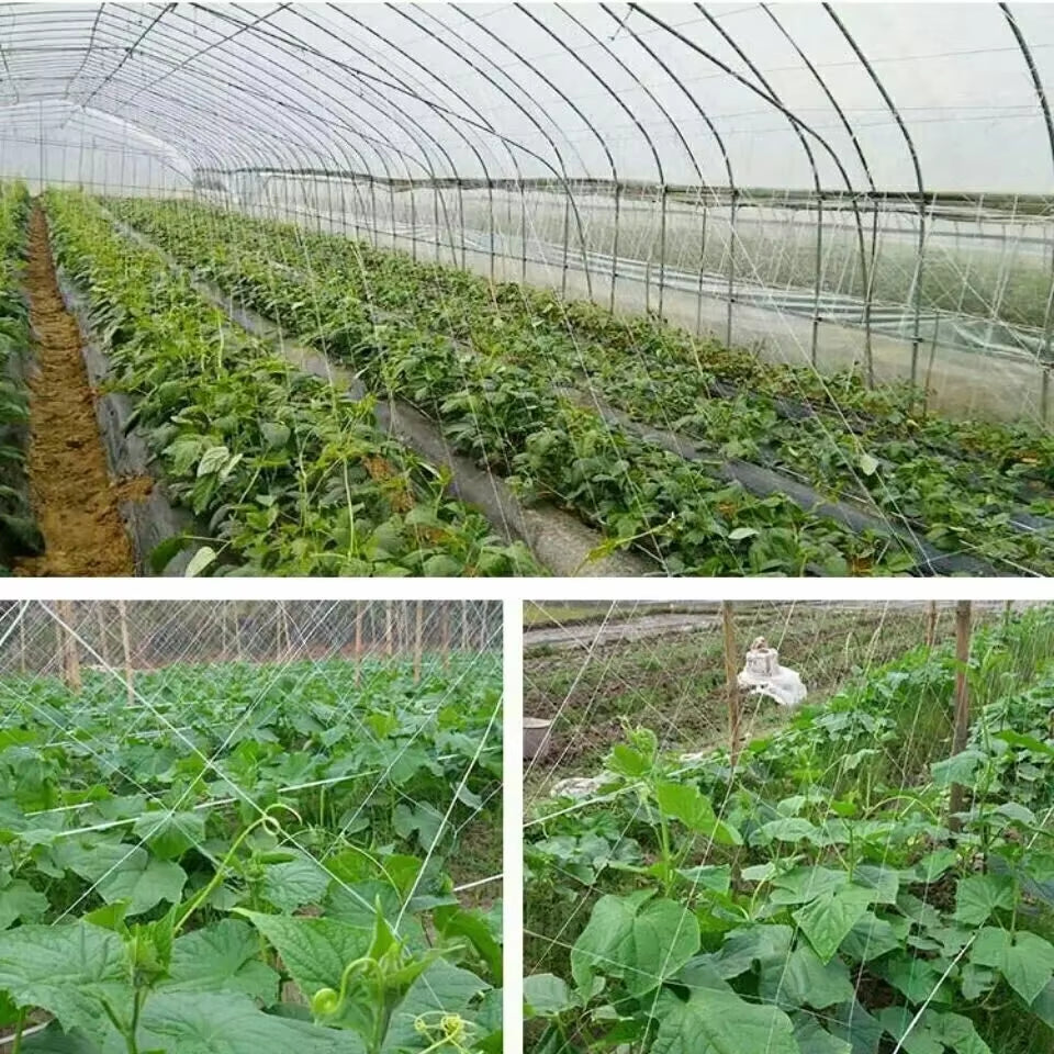 Garden Climbing Net Trellis Netting Heavy-Duty Plant Support Stand for Flowers Vegetable Vine Orchard Gardening Tools