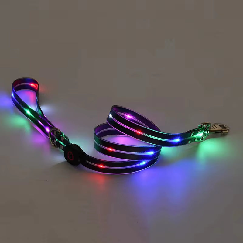Led Light up Dog Leash Walking Safety Glow in the Dark USB Rechargeable Adjustable for Large Medium Small Pet Lighted Dog Collar