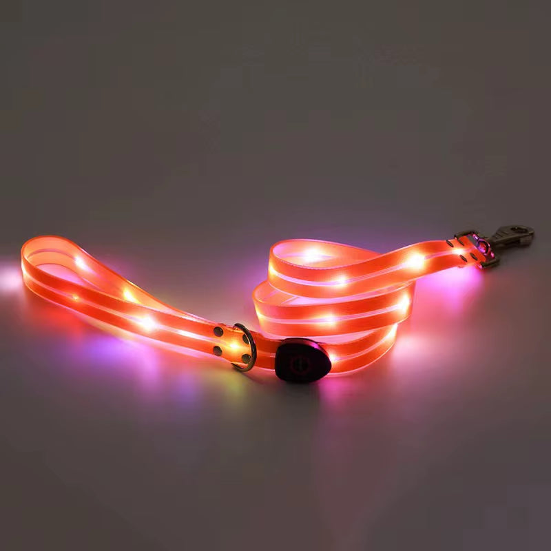 Led Light up Dog Leash Walking Safety Glow in the Dark USB Rechargeable Adjustable for Large Medium Small Pet Lighted Dog Collar