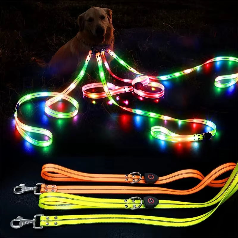 Led Light up Dog Leash Walking Safety Glow in the Dark USB Rechargeable Adjustable for Large Medium Small Pet Lighted Dog Collar