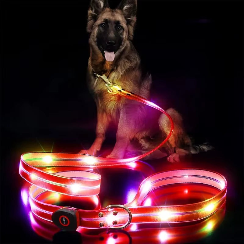 Led Light up Dog Leash Walking Safety Glow in the Dark USB Rechargeable Adjustable for Large Medium Small Pet Lighted Dog Collar