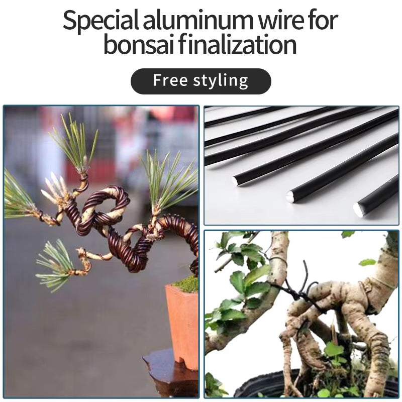 5/10M Bonsai Wire Plant Support Anodized Aluminum Bonsai Training Wire Home Office Plant Shapes Accessories Garden DIY Tools